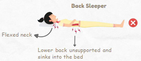 Back Sleeper (X)
