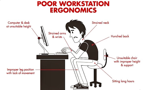 Posture and the Neck-Head Relationship